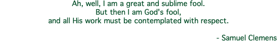 Ah, well, I am a great and sublime fool. But then I am God's fool, and all His work must be contemplated with respect. - Samuel Clemens
