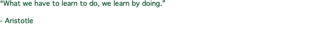 “What we have to learn to do, we learn by doing.” - Aristotle